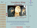 Cavalier King Charles - élevage de Mayobe