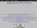 Détails : prince le bull-terrier