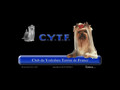 Détails : Club du Yorkshire Terrier de France