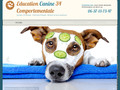 Education canine 34