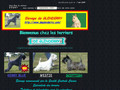 Détails : Les kerry blue et scottish terriers de Glenderry