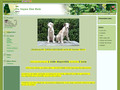 Détails : Elevage du Joyau des Bois - eleveur de chiens Barzoi