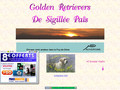 Détails : Golden retrievers de Sigillee pais