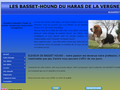 Détails : Basset Hound du Haras de la Vergne