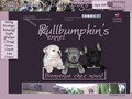 Détails : Bullbumpkin's Bully Dogs Only