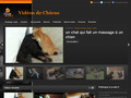 Détails : Vidéos de Chiens et de chiots