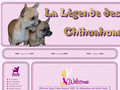 Détails : Chihuahua de la Légende des Elfes