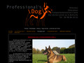 Détails : professionnal's dog trainer