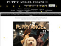 Puppy Angel france