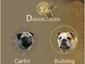 Détails : Dreamlander