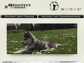 D & Dog Educateur Canin Comportementaliste dans la métropole Lille