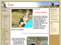 Elevage D'araval - eleveur de chiens Berger allemand