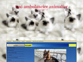 Détails : Taxi ambulancier animalier