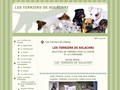 Détails : Les terriers de Solachri