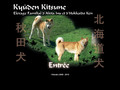 Kyuden Kitsune : Elevage familial d'Akita Inu et d'Hokkaido Ken