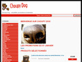 Choupydog : boutique d'accessoires pour chiens 