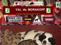 Détails : L'élevage du Val du Morakopf